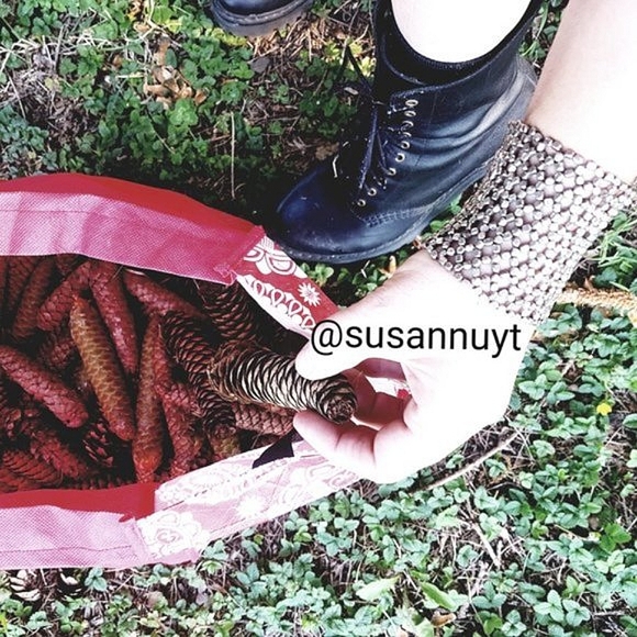 Midwest Cottagecore Cabincore Pine Cones - Picture 3 of 4